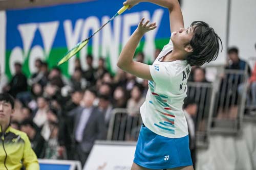 的职业生涯 的职业生涯